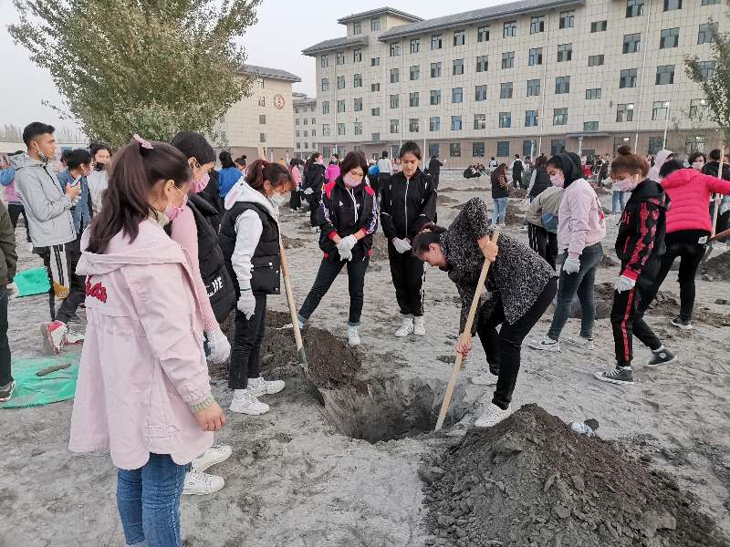 医学系党总支开展“不忘初心、牢记使命”我为校园添绿主题活动