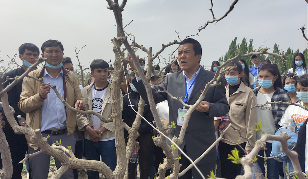 72549744b5ff41bd9feb2ae7b49dc01d.png 72549744b5ff41bd9feb2ae7b49dc01d.png