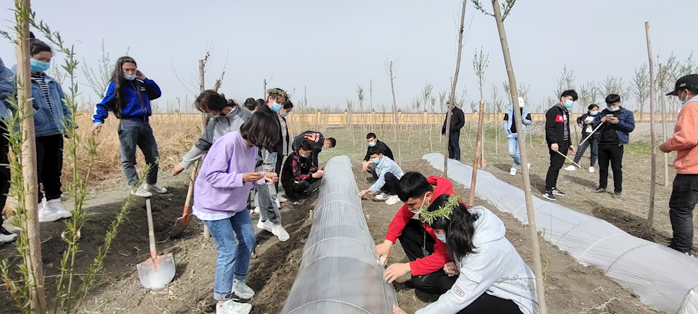 aea5c0df3a3047ef800ae86ca9e3ae63.png aea5c0df3a3047ef800ae86ca9e3ae63.png