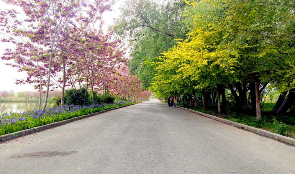 7ceabc5220e54164bea7e94f26b97d59.png 7ceabc5220e54164bea7e94f26b97d59.png