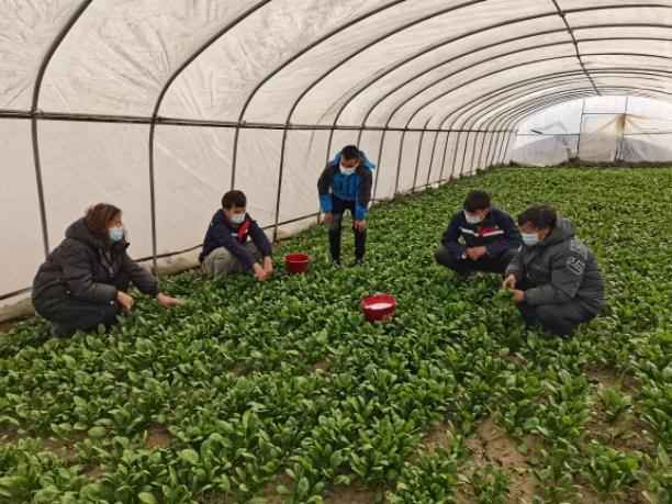 d9739706751841eaa60dd4abb1f3f56a.png d9739706751841eaa60dd4abb1f3f56a.png