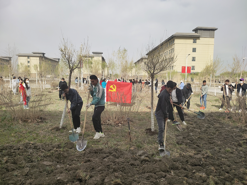 党建引领绘底色 劳动教育促成长 ——本科教学部学工支部开展“学雷锋爱劳动”主题党日活动